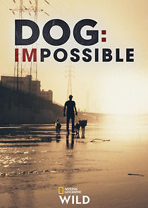 Watch Dog: Impossible