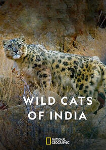 Watch Wild Cats of India