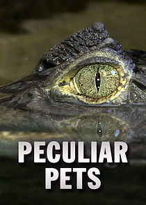 Watch Peculiar Pets