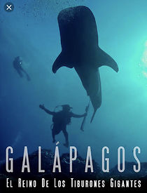 Watch Galapagos: Realm of Giant Sharks
