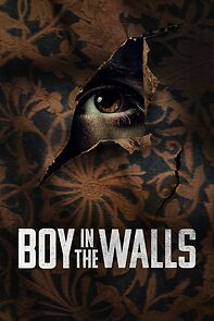 Watch Boy in the Walls