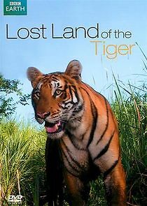 Watch Lost Land of the Tiger