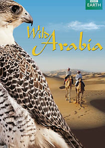 Watch Wild Arabia